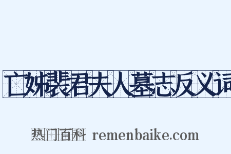 亡姊裴君夫人墓志反义词是什么意思的图片